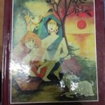 Neem Se Mithhas Ka Wada [Hardcover] Rajni Srivastav